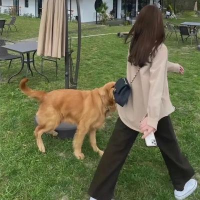 除恶使者